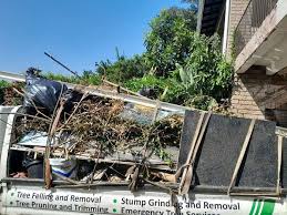 Best Estate Cleanout  in Asheville, NC